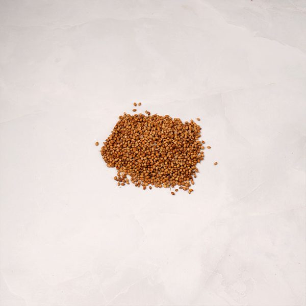 Semillas de Cilantro (Coriandro)