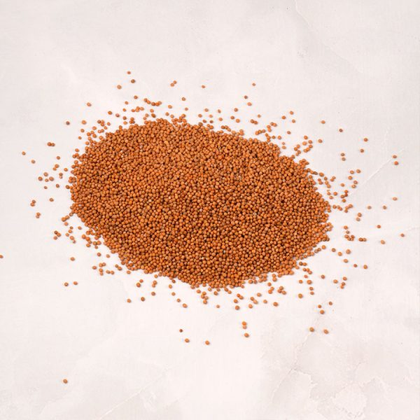 Mostaza (semilla)